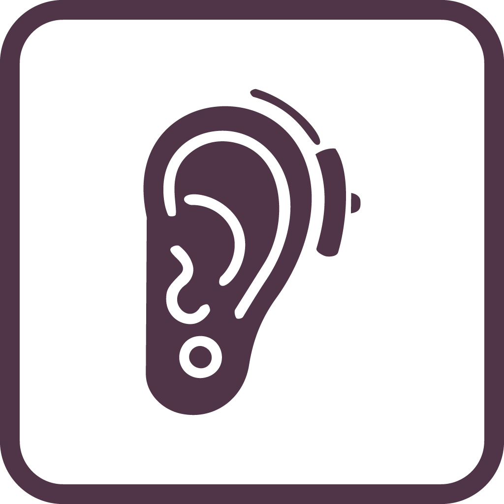 Hearing systems icon